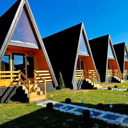 A-Frame Bucovina- Paradis Bucovinean Capu Cîmpului Eksteriør bilde