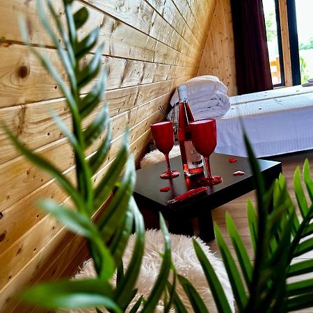 A-Frame Bucovina- Paradis Bucovinean Capu Cîmpului Eksteriør bilde
