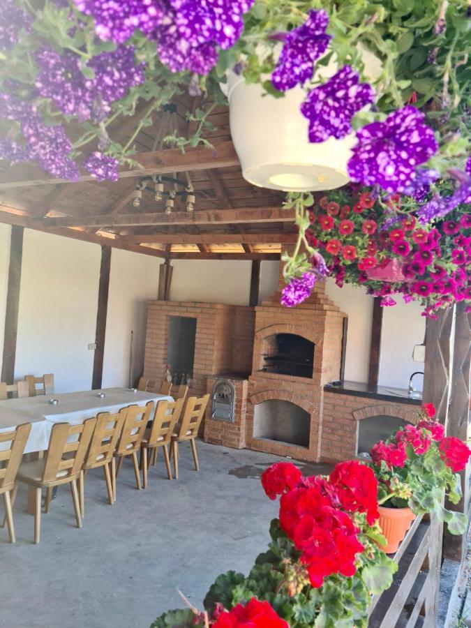 A-Frame Bucovina- Paradis Bucovinean Capu Cîmpului Eksteriør bilde