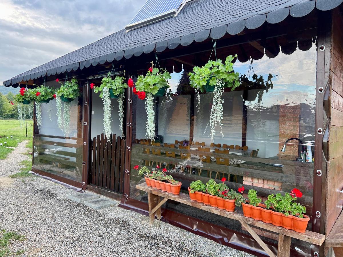 A-Frame Bucovina- Paradis Bucovinean Capu Cîmpului Eksteriør bilde
