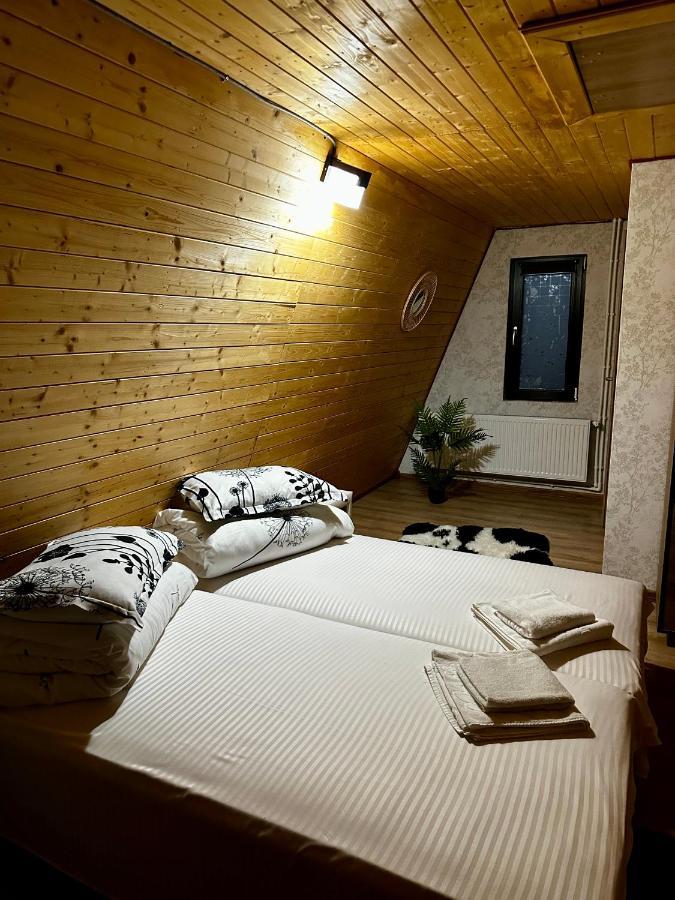 A-Frame Bucovina- Paradis Bucovinean Capu Cîmpului Eksteriør bilde