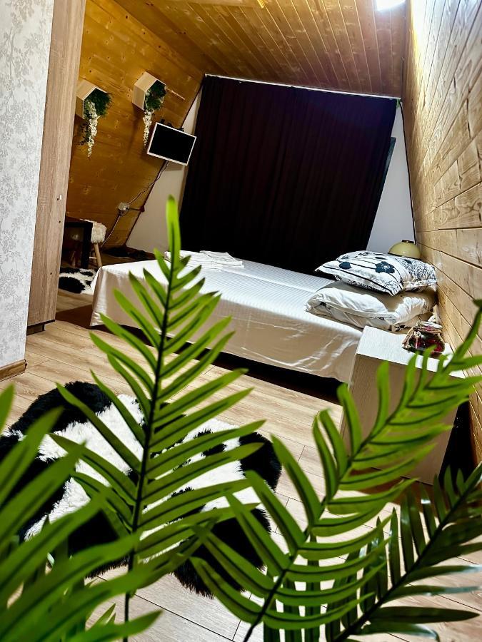 A-Frame Bucovina- Paradis Bucovinean Capu Cîmpului Eksteriør bilde