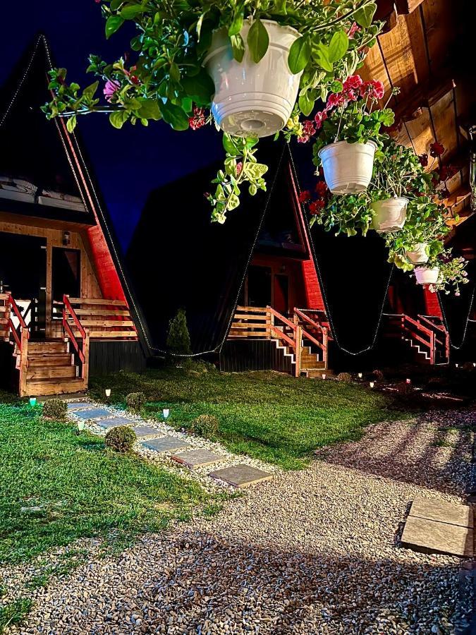 A-Frame Bucovina- Paradis Bucovinean Capu Cîmpului Eksteriør bilde