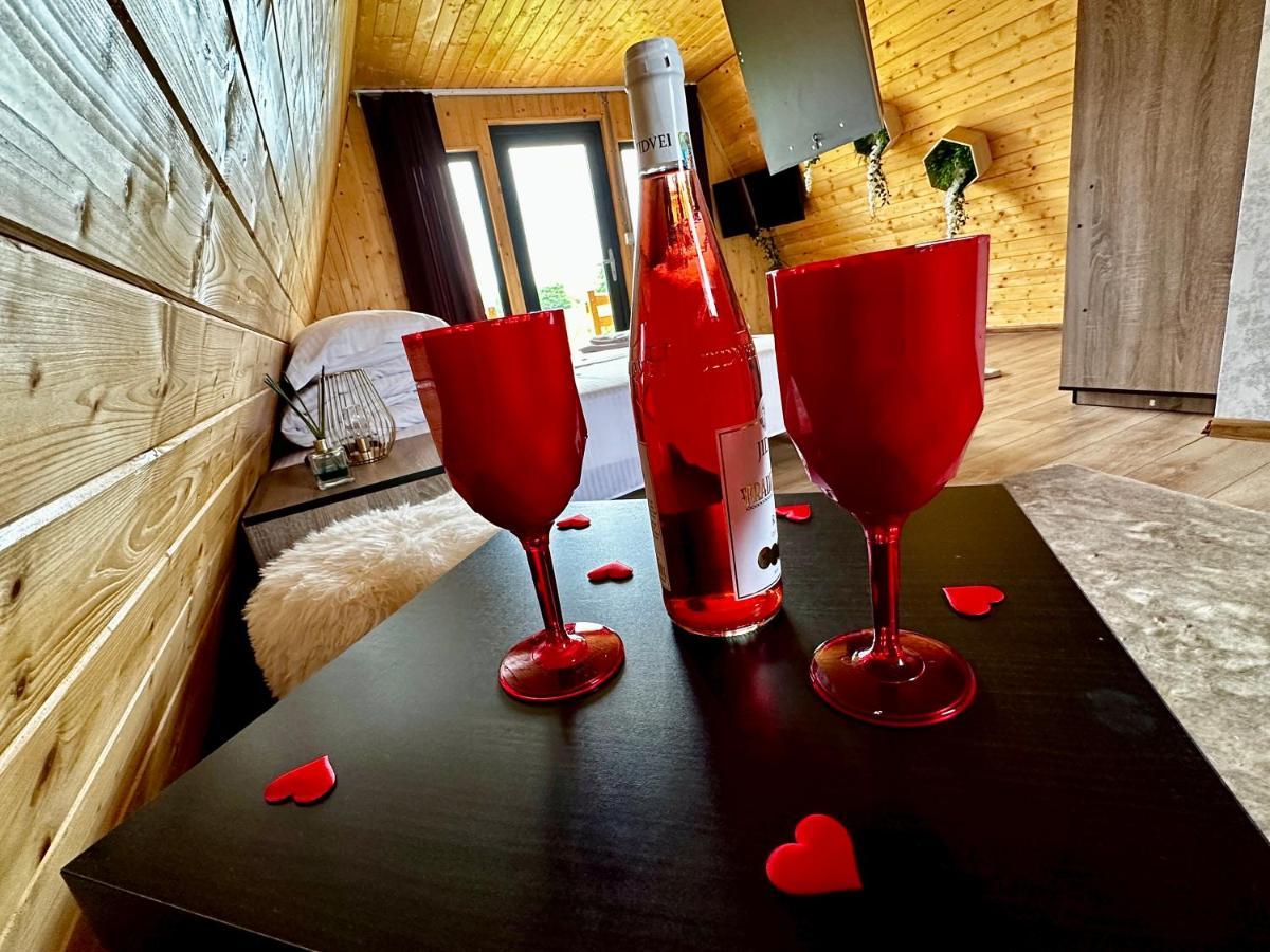 A-Frame Bucovina- Paradis Bucovinean Capu Cîmpului Eksteriør bilde
