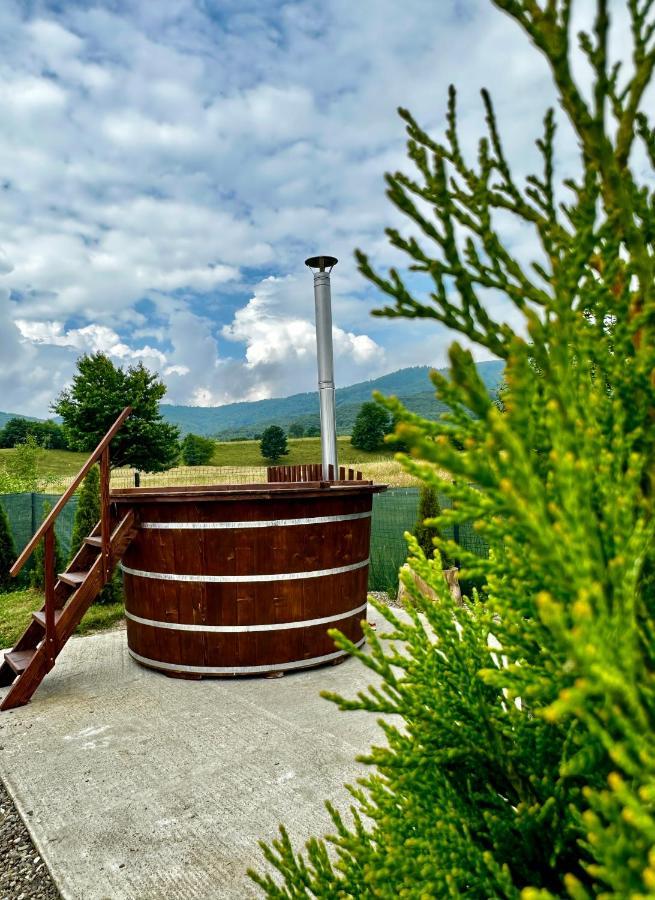 A-Frame Bucovina- Paradis Bucovinean Capu Cîmpului Eksteriør bilde